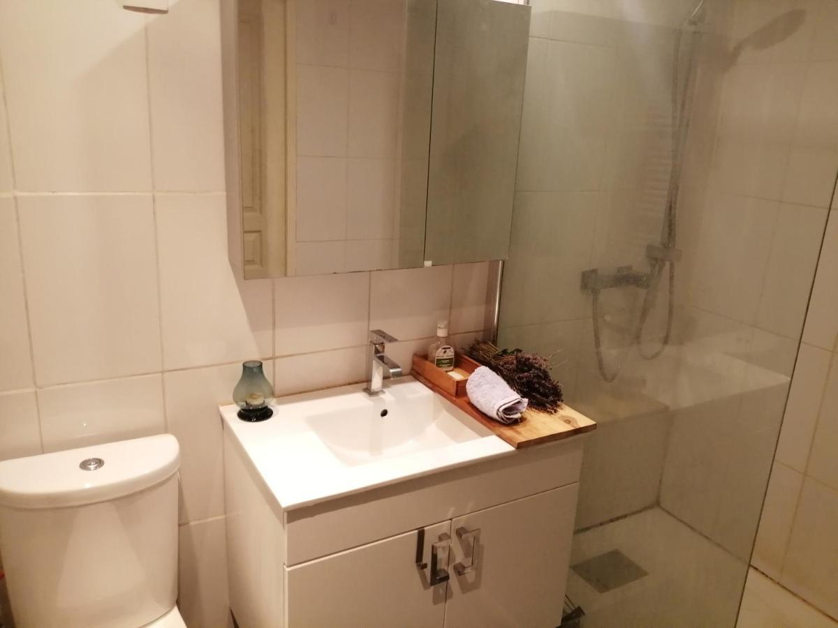 Loft Viarhona, Grand Loft En Centre-Ville 리옹 외부 사진